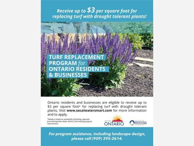 Turf Replacements for Residents and Businesses in Ontario, California